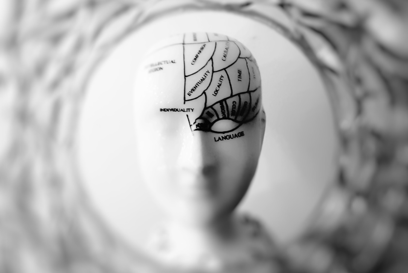 Brain