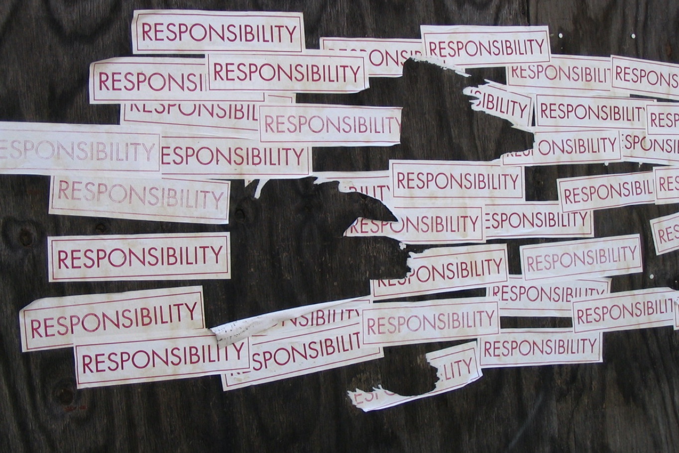 responsibility