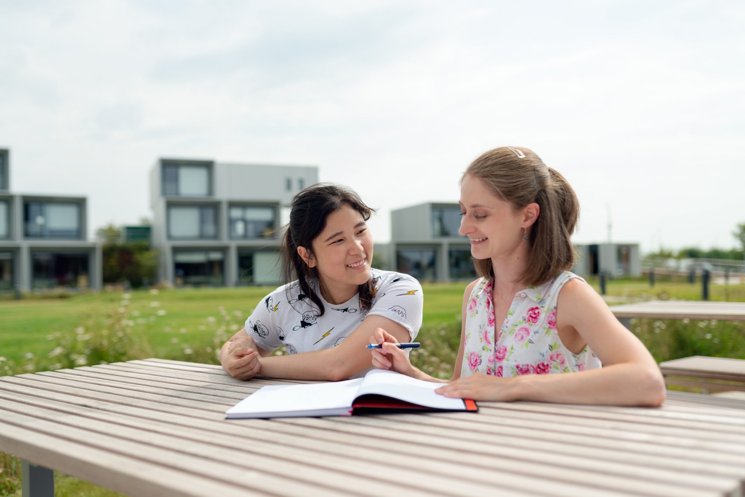 Boundaries, Limitations and the Ethical and Professional Codes and Standards in a Personal Tutoring Role